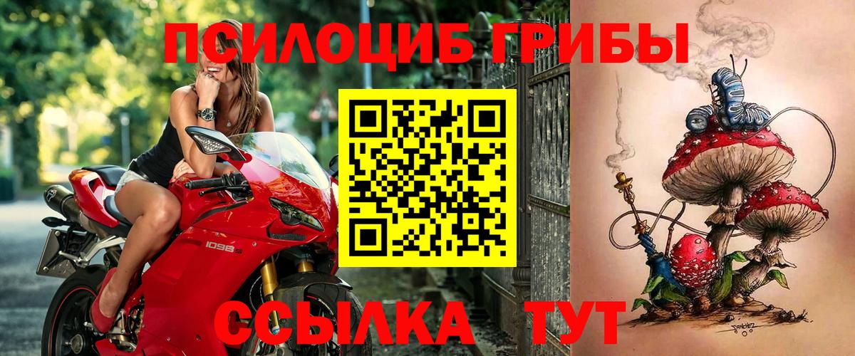 Галлюциногенные грибы ЛСД  Вход с VPN  Горно-Алтайск 
